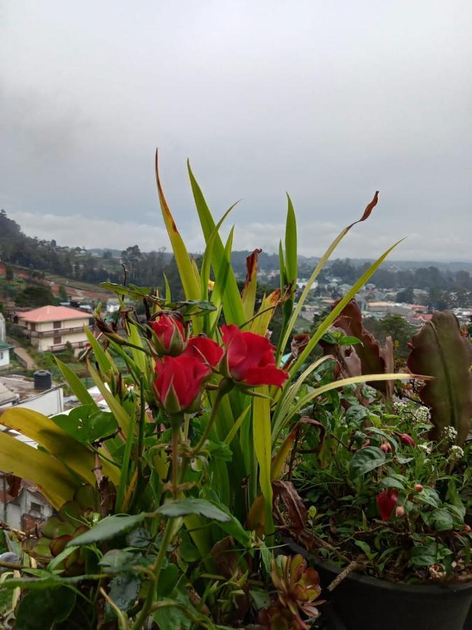 La Rose Guest House Nuwara Eliya Exterior foto